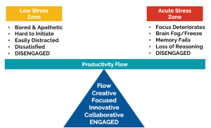 Finding Productivity Flow